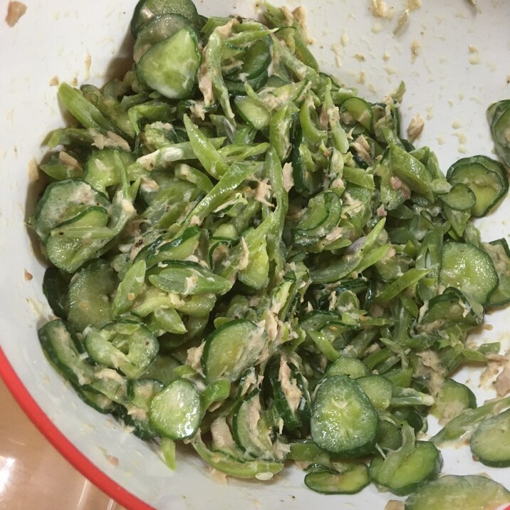 インゲンときゅうりのツナ胡麻サラダ